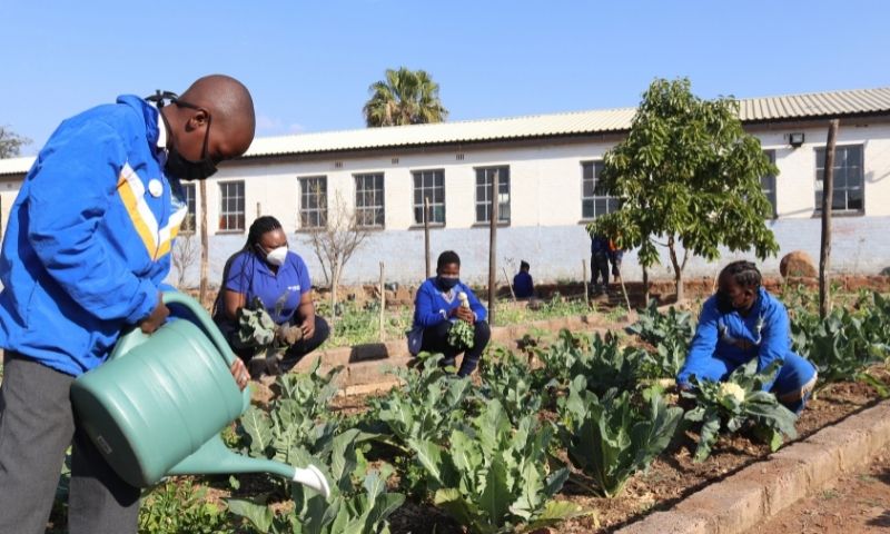 School Garden Pilot: Phumzile Primary School